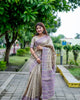 Beige-Lavender Classic Tussar Silk Traditional Weaving Pattern Saree