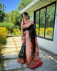 Black Traditional Pure Soft Paithani Silk Zari Weaving Saree