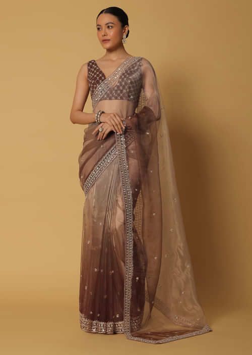 Brown Taby Organza Silk Sequence Embroidered Border Saree