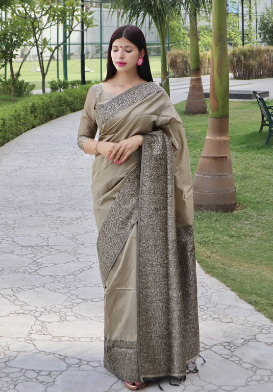 Grey Elegant Handloom Raw Silk Rich Weaving Pallu Saree