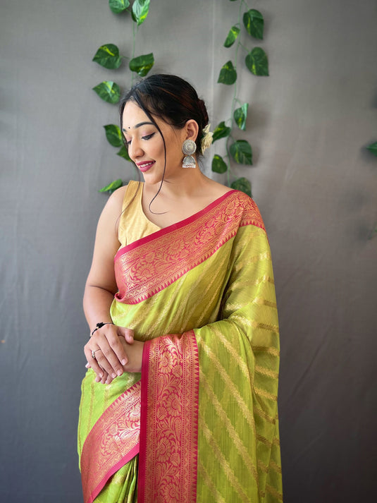 Parrot Green Pure Organza Jacquard Border Saree