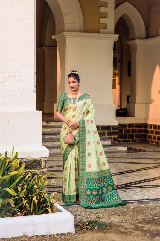 Light Green Banarasi Soft Silk Patola Zari Weaving Pattern Saree