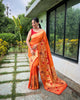 Orange Classic Pure Paithani Traditional Border Zari Weaving Saree