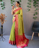 Parrot Green Pure Organza Jacquard Border Saree