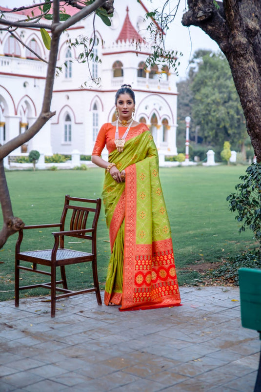 Parrot Green Banarasi Soft Silk Patola Zari Weaving Pattern Saree