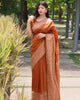 Brown Elegant Handloom Raw Silk Rich Weaving Pallu Saree