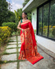 Red Classic Pure Paithani Traditional Border Zari Weaving Saree