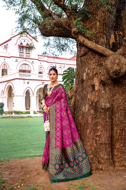 Wine Banarasi Soft Silk Patola Zari Weaving Pattern Saree