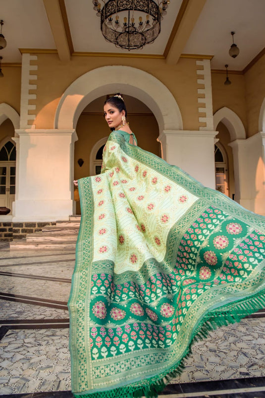 Light Green Banarasi Soft Silk Patola Zari Weaving Pattern Saree