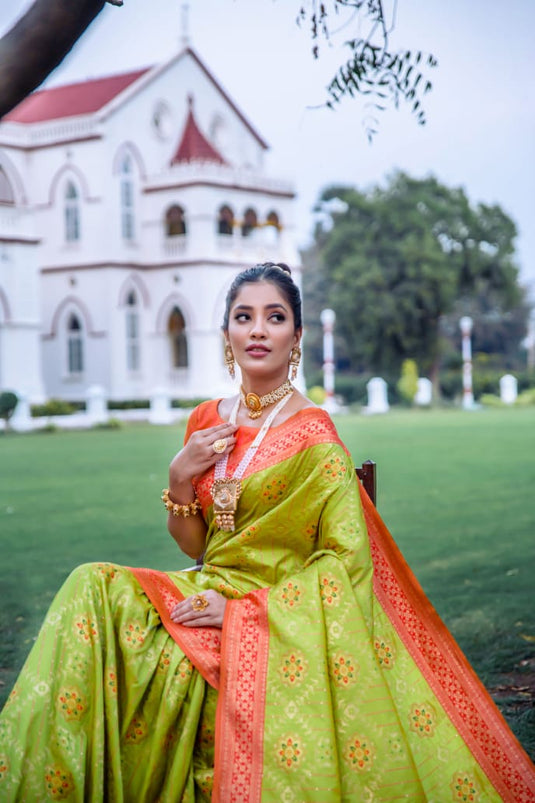 Parrot Green Banarasi Soft Silk Patola Zari Weaving Pattern Saree