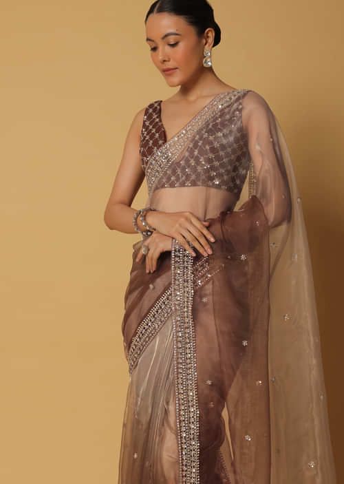 Brown Taby Organza Silk Sequence Embroidered Border Saree