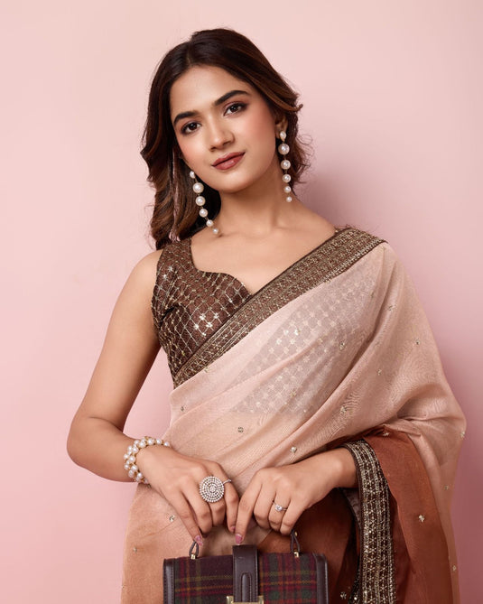 Brown Taby Organza Silk Sequence Embroidered Border Saree