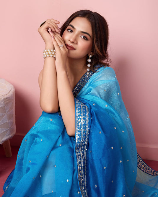 Sky Blue Taby Organza Silk Sequence Embroidered Border Saree