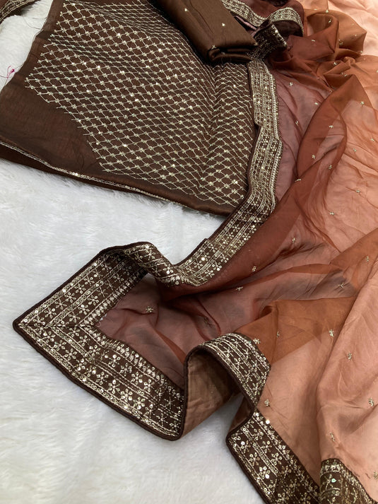 Brown Taby Organza Silk Sequence Embroidered Border Saree