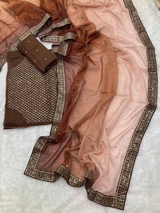 Brown Taby Organza Silk Sequence Embroidered Border Saree