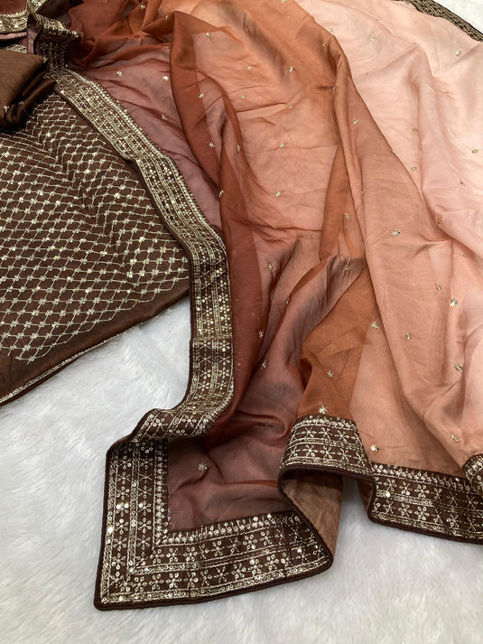 Brown Taby Organza Silk Sequence Embroidered Border Saree