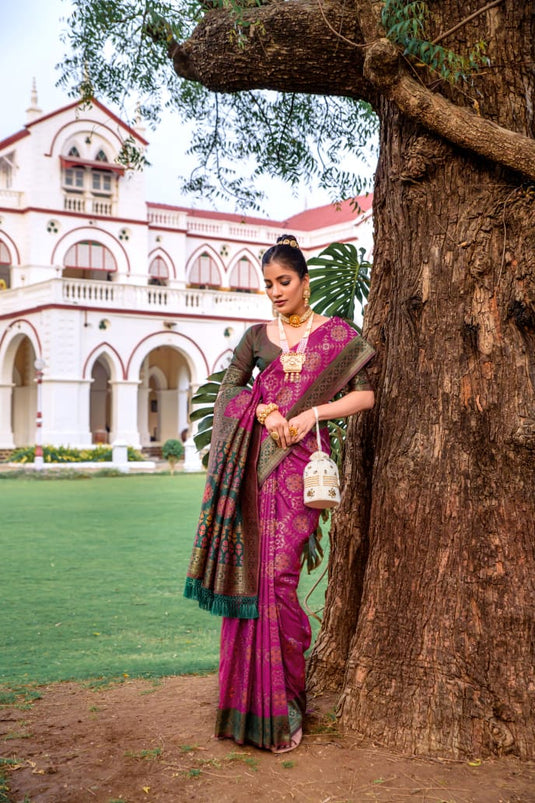 Wine Banarasi Soft Silk Patola Zari Weaving Pattern Saree